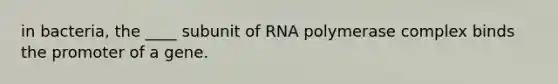 in bacteria, the ____ subunit of RNA polymerase complex binds the promoter of a gene.