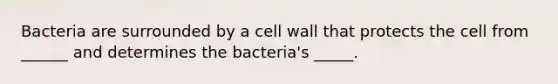 Bacteria are surrounded by a cell wall that protects the cell from ______ and determines the bacteria's _____.