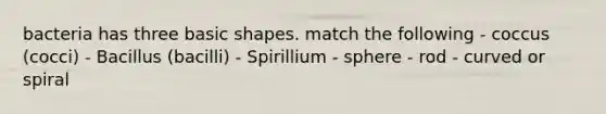 bacteria has three basic shapes. match the following - coccus (cocci) - Bacillus (bacilli) - Spirillium - sphere - rod - curved or spiral