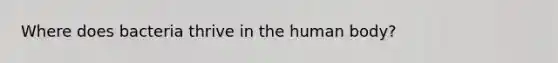 Where does bacteria thrive in the human body?