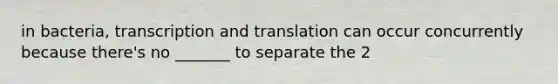 in bacteria, transcription and translation can occur concurrently because there's no _______ to separate the 2