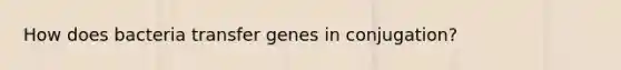 How does bacteria transfer genes in conjugation?