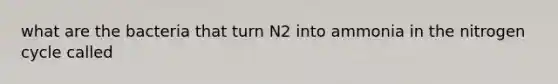 what are the bacteria that turn N2 into ammonia in the nitrogen cycle called