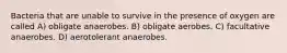 Bacteria that are unable to survive in the presence of oxygen are called A) obligate anaerobes. B) obligate aerobes. C) facultative anaerobes. D) aerotolerant anaerobes.