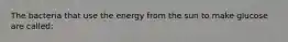 The bacteria that use the energy from the sun to make glucose are called: