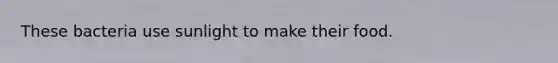These bacteria use sunlight to make their food.