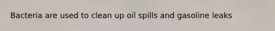 Bacteria are used to clean up oil spills and gasoline leaks