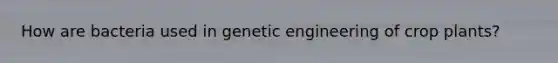 How are bacteria used in genetic engineering of crop plants?