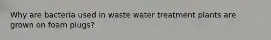 Why are bacteria used in waste water treatment plants are grown on foam plugs?