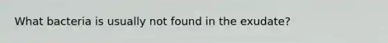 What bacteria is usually not found in the exudate?