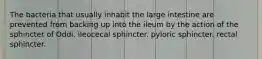 The bacteria that usually inhabit the large intestine are prevented from backing up into the ileum by the action of the sphincter of Oddi. ileocecal sphincter. pyloric sphincter. rectal sphincter.