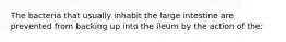 The bacteria that usually inhabit the large intestine are prevented from backing up into the ileum by the action of the: