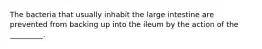 The bacteria that usually inhabit the large intestine are prevented from backing up into the ileum by the action of the _________.