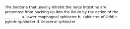 The bacteria that usually inhabit the large intestine are prevented from backing up into the ileum by the action of the ________. a. lower esophageal sphincter b. sphincter of Oddi c. pyloric sphincter d. ileocecal sphincter