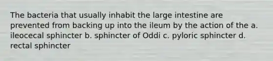 The bacteria that usually inhabit the large intestine are prevented from backing up into the ileum by the action of the a. ileocecal sphincter b. sphincter of Oddi c. pyloric sphincter d. rectal sphincter