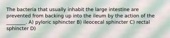 The bacteria that usually inhabit the large intestine are prevented from backing up into the ileum by the action of the ________. A) pyloric sphincter B) ileocecal sphincter C) rectal sphincter D)