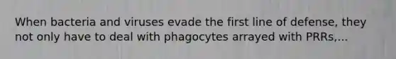 When bacteria and viruses evade the first line of defense, they not only have to deal with phagocytes arrayed with PRRs,...