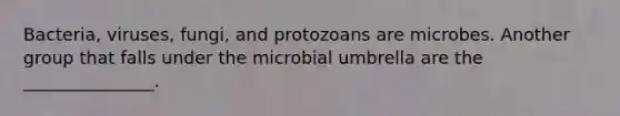 Bacteria, viruses, fungi, and protozoans are microbes. Another group that falls under the microbial umbrella are the _______________.