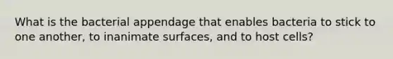 What is the bacterial appendage that enables bacteria to stick to one another, to inanimate surfaces, and to host cells?