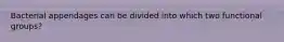 Bacterial appendages can be divided into which two functional groups?