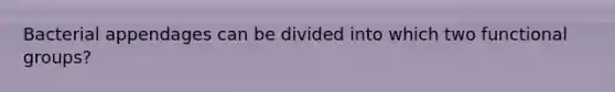 Bacterial appendages can be divided into which two functional groups?