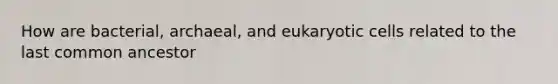 How are bacterial, archaeal, and eukaryotic cells related to the last common ancestor