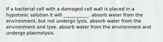 If a bacterial cell with a damaged cell wall is placed in a hypotonic solution it will ___________. absorb water from the environment, but not undergo lysis. absorb water from the environment and lyse. absorb water from the environment and undergo plasmolysis.