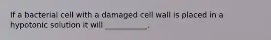 If a bacterial cell with a damaged cell wall is placed in a hypotonic solution it will ___________.