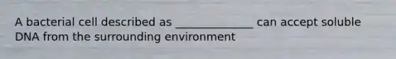 A bacterial cell described as ______________ can accept soluble DNA from the surrounding environment