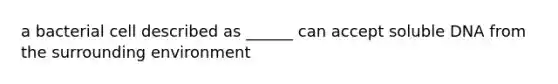 a bacterial cell described as ______ can accept soluble DNA from the surrounding environment