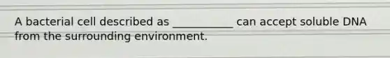 A bacterial cell described as ___________ can accept soluble DNA from the surrounding environment.
