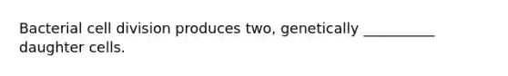 Bacterial cell division produces two, genetically __________ daughter cells.