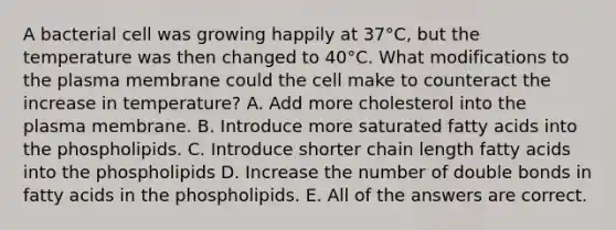 A bacterial cell was growing happily at 37°C, but the temperature was then changed to 40°C. What modifications to the plasma membrane could the cell make to counteract the increase in temperature? A. Add more cholesterol into the plasma membrane. B. Introduce more saturated fatty acids into the phospholipids. C. Introduce shorter chain length fatty acids into the phospholipids D. Increase the number of double bonds in fatty acids in the phospholipids. E. All of the answers are correct.