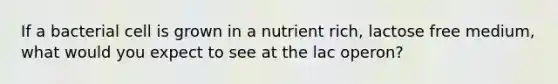 If a bacterial cell is grown in a nutrient rich, lactose free medium, what would you expect to see at the lac operon?