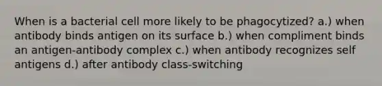 When is a bacterial cell more likely to be phagocytized? a.) when antibody binds antigen on its surface b.) when compliment binds an antigen-antibody complex c.) when antibody recognizes self antigens d.) after antibody class-switching