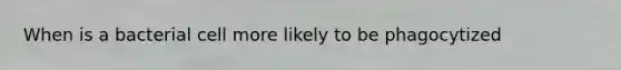 When is a bacterial cell more likely to be phagocytized