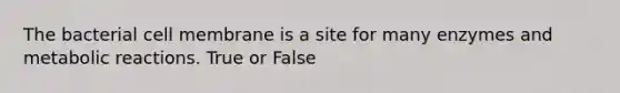 The bacterial cell membrane is a site for many enzymes and metabolic reactions. True or False