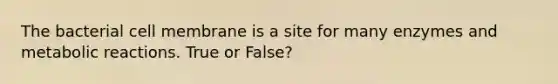 The bacterial cell membrane is a site for many enzymes and metabolic reactions. True or False?