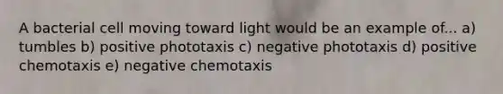 A bacterial cell moving toward light would be an example of... a) tumbles b) positive phototaxis c) negative phototaxis d) positive chemotaxis e) negative chemotaxis