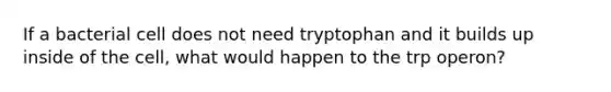 If a bacterial cell does not need tryptophan and it builds up inside of the cell, what would happen to the trp operon?