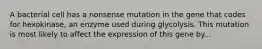 A bacterial cell has a nonsense mutation in the gene that codes for hexokinase, an enzyme used during glycolysis. This mutation is most likely to affect the expression of this gene by...