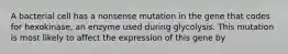 A bacterial cell has a nonsense mutation in the gene that codes for hexokinase, an enzyme used during glycolysis. This mutation is most likely to affect the expression of this gene by