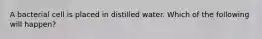 A bacterial cell is placed in distilled water. Which of the following will happen?