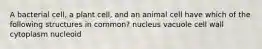 A bacterial cell, a plant cell, and an animal cell have which of the following structures in common? nucleus vacuole cell wall cytoplasm nucleoid