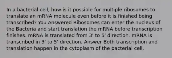 In a bacterial cell, how is it possible for multiple ribosomes to translate an mRNA molecule even before it is finished being transcribed? You Answered Ribosomes can enter the nucleus of the Bacteria and start translation the mRNA before transcription finishes. mRNA is translated from 3' to 5' direction. mRNA is transcribed in 3' to 5' direction. Answer Both transcription and translation happen in the cytoplasm of the bacterial cell.