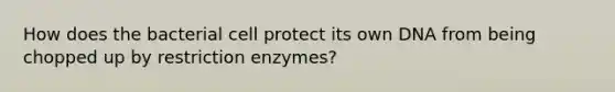 How does the bacterial cell protect its own DNA from being chopped up by restriction enzymes?