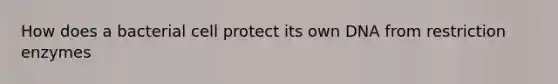 How does a bacterial cell protect its own DNA from restriction enzymes