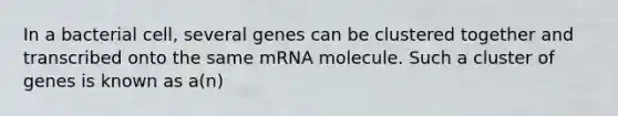 In a bacterial cell, several genes can be clustered together and transcribed onto the same mRNA molecule. Such a cluster of genes is known as a(n)