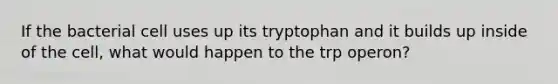 If the bacterial cell uses up its tryptophan and it builds up inside of the cell, what would happen to the trp operon?