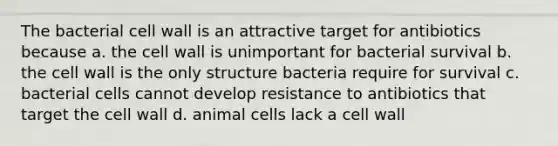 The bacterial cell wall is an attractive target for antibiotics because a. the cell wall is unimportant for bacterial survival b. the cell wall is the only structure bacteria require for survival c. bacterial cells cannot develop resistance to antibiotics that target the cell wall d. animal cells lack a cell wall